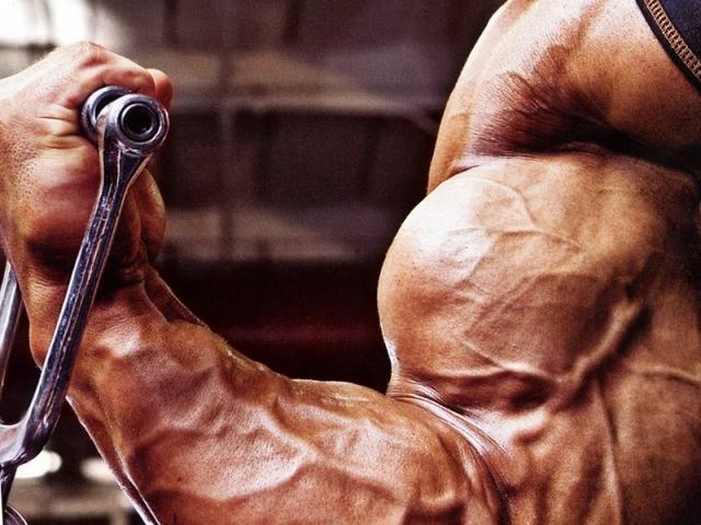 Вправи для біцепса у залі чи домашніх умовах