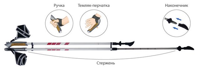 Палки для скандинавской ходьбы