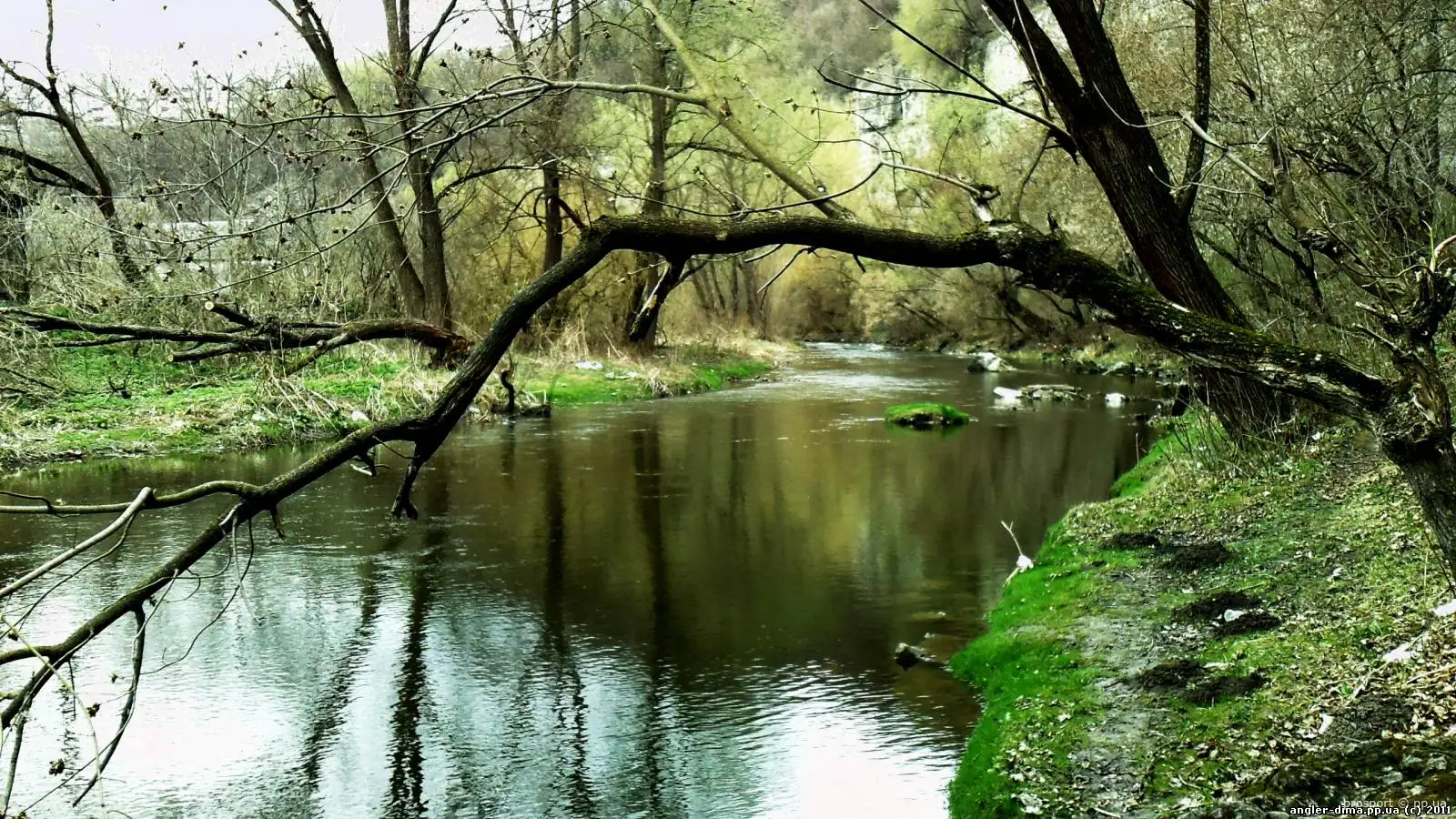 РІчка Смотрич